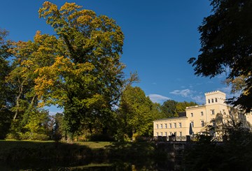 002 Hochzeit Jacqueline Daniel Schluss Steinhoefel