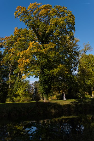 070 Hochzeit Jacqueline Daniel Schloss Steinhoefel Hochzeitsportraits