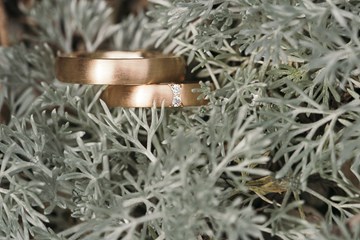 Hochzeit Suse Robert Marstall 042