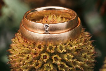 Hochzeit Suse Robert Marstall 043